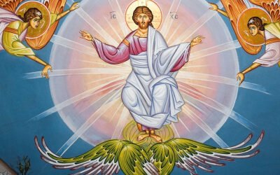 Sunday Scripture, May 16