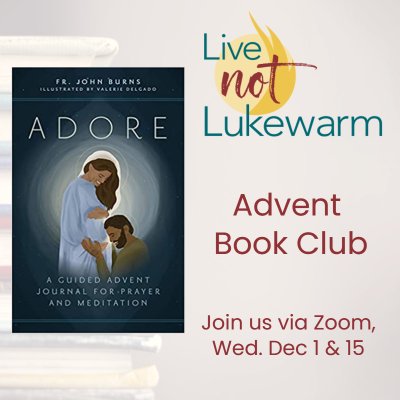 Advent Book Club