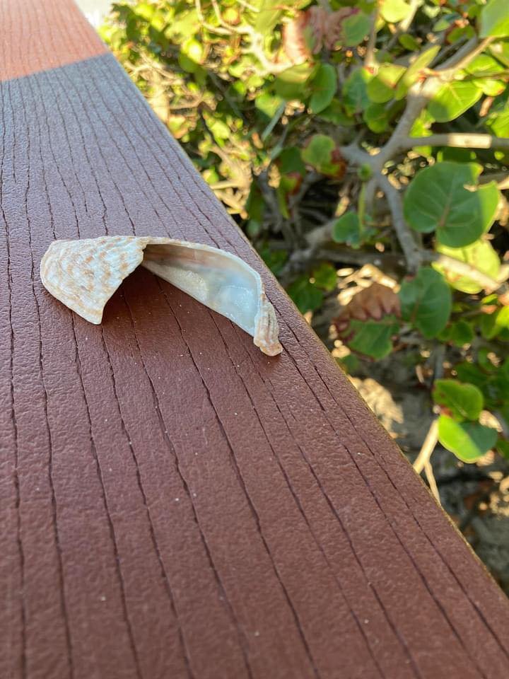 shell spiritual direction